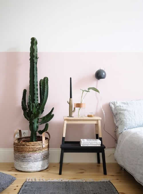 Decoração com Cactos