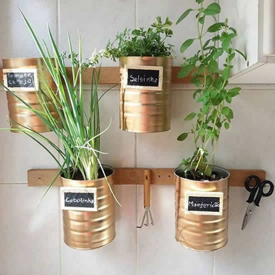 Horta com Latas