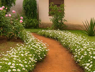 Decoração de Jardim com Flores
