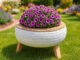 Decoração com Pneu Velho para Jardim