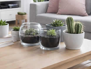 Decoração no Apartamento com Plantinhas