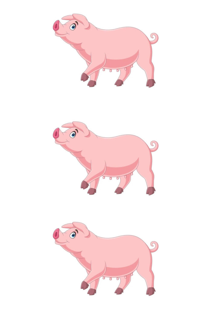 Molde de Porcos