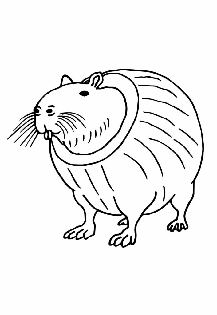 Desenho Tralalero Tralala
