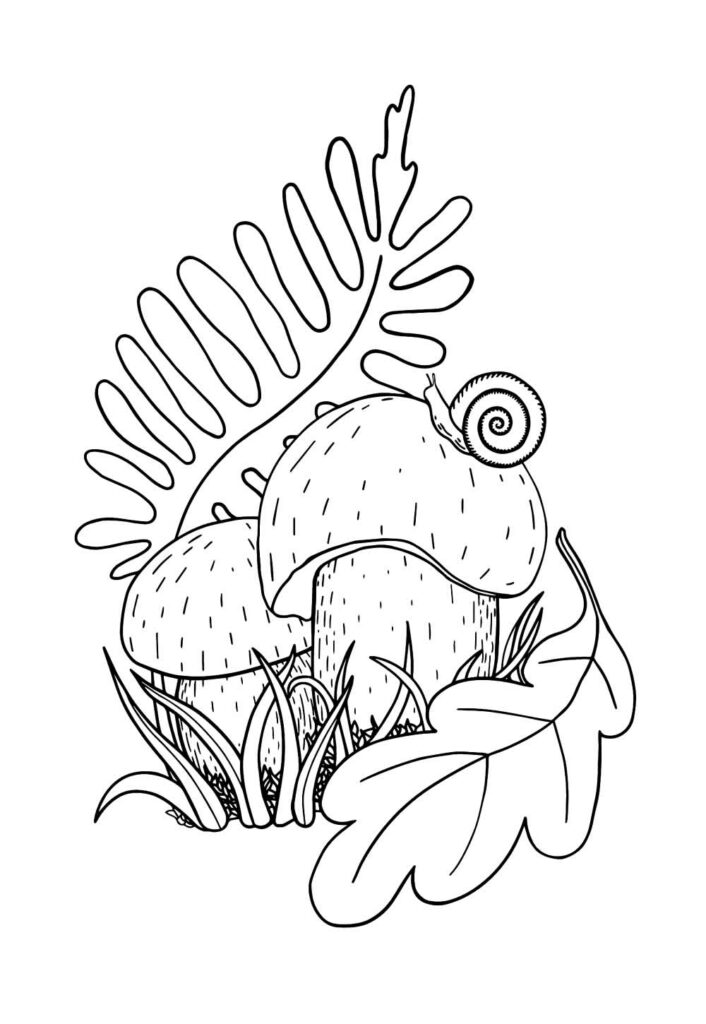 Desenho Cogumelos Colorir