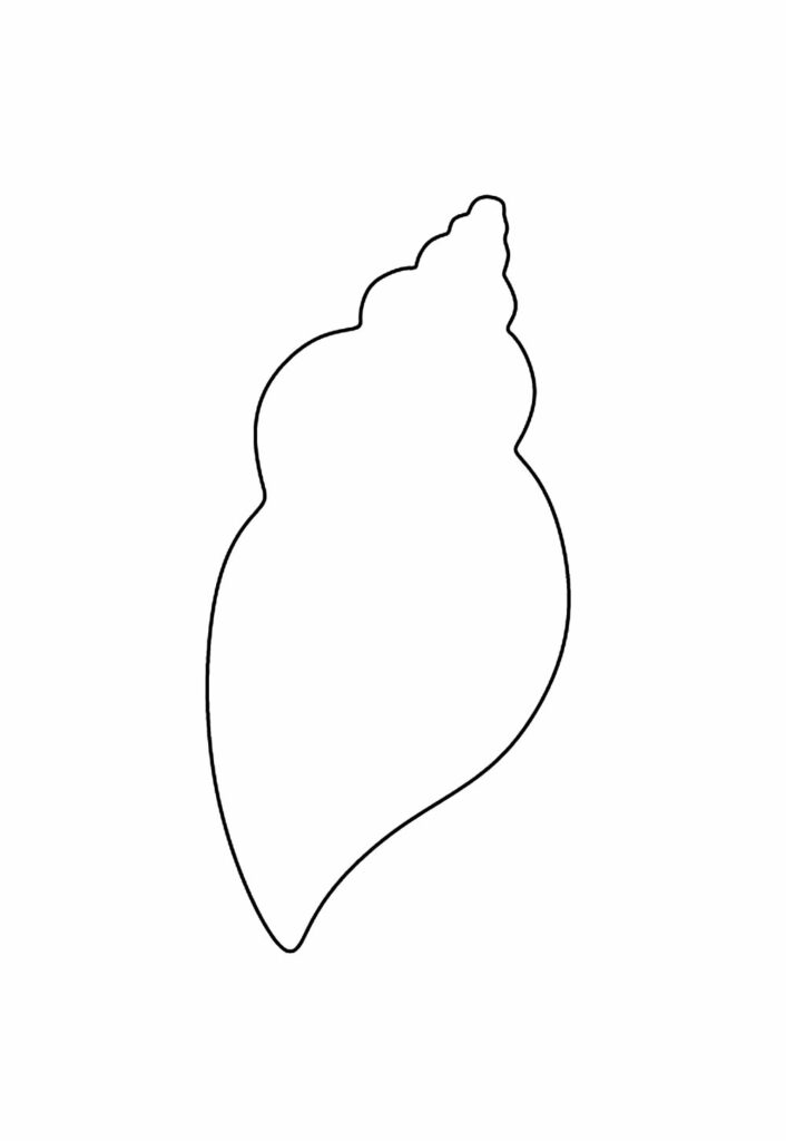 Molde de Concha