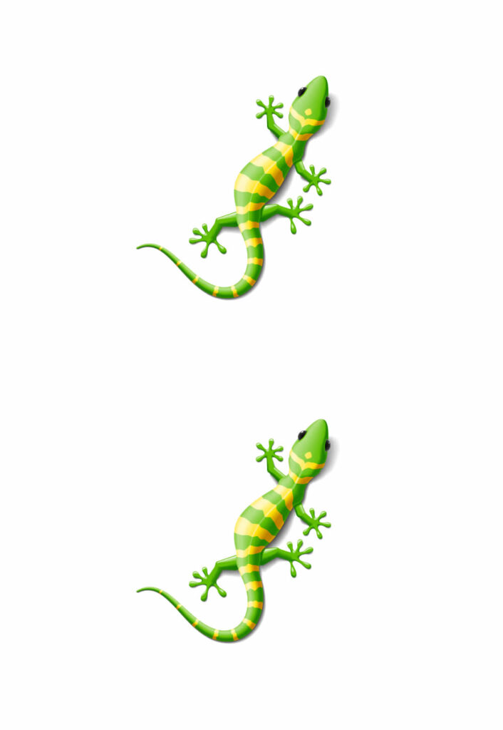 Imagem de Lagarto