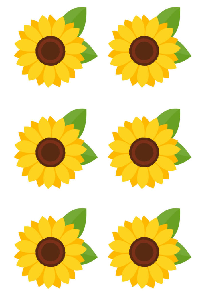 Moldes de Flores - Girassol