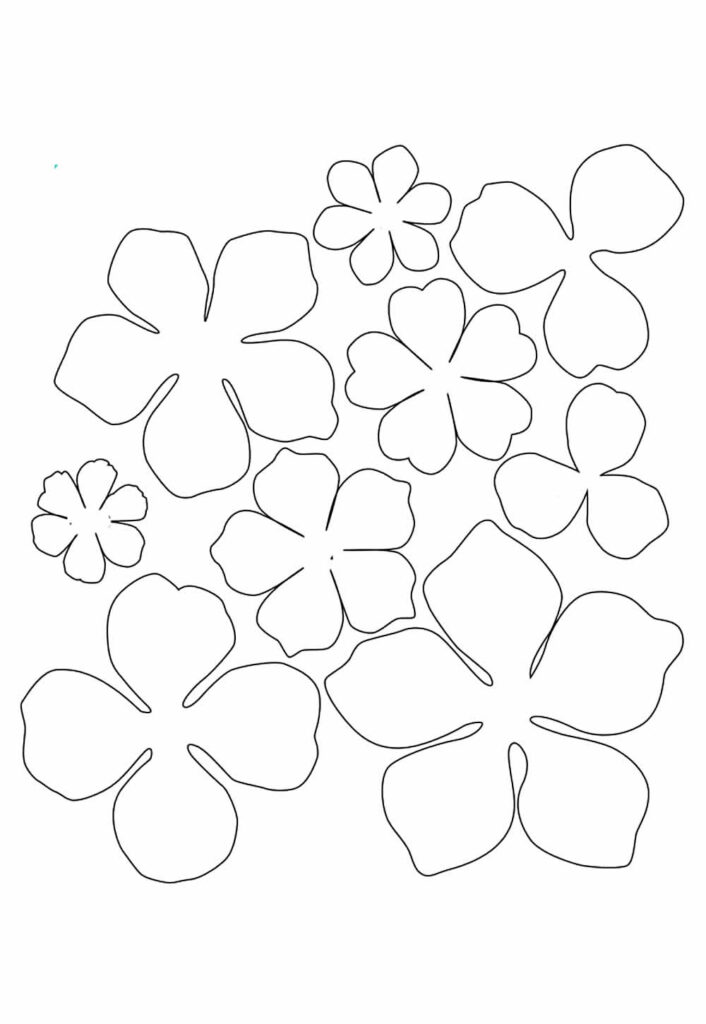 Moldes de Flores