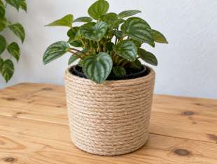 Cachepô com fio de sisal