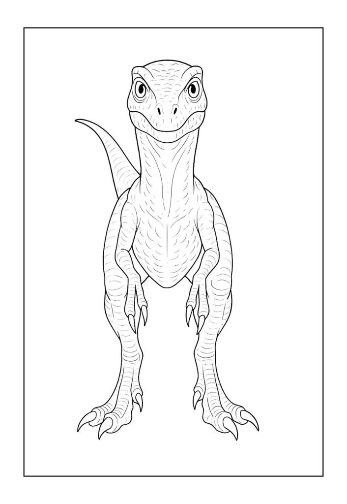 Desenho de Velociraptor para colorir