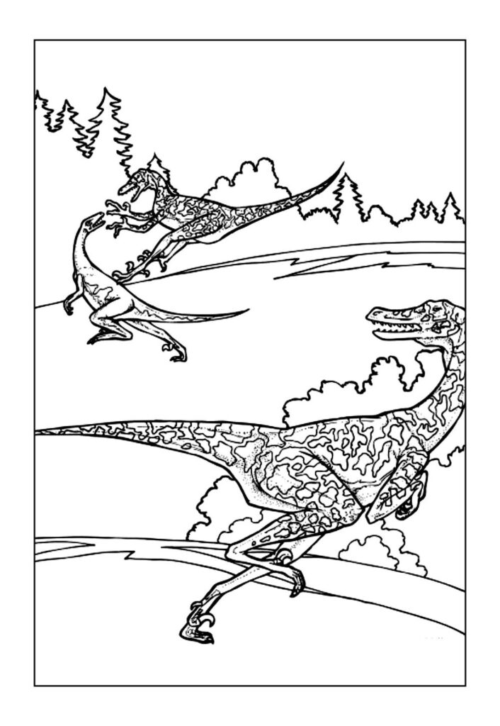 Desenho de Velociraptor para colorir