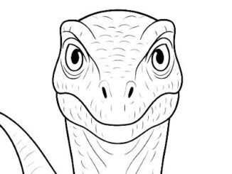 Desenhos de Velociraptor para colorir