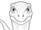 Desenhos de Velociraptor para colorir