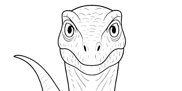 Desenhos de Velociraptor para colorir