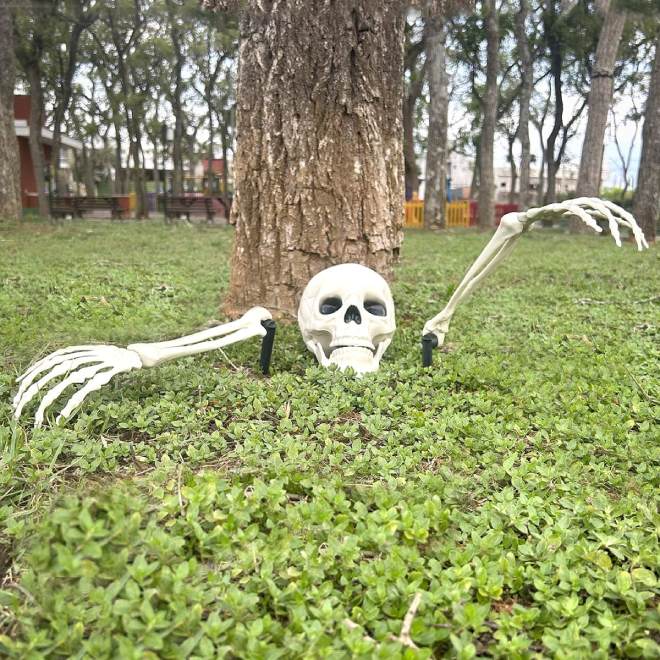 Caveira para Decoração de Jardim