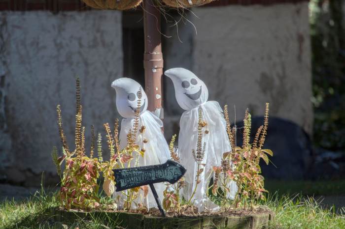 Decoração de Jardim no Halloween